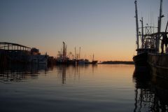 Fishing fleet  at Oriental