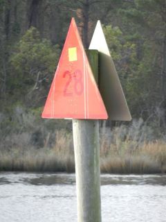 Markers transpose