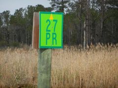 Pungo River marker