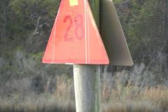 Markers transpose
