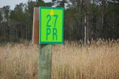Pungo River marker