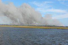 Brush fires