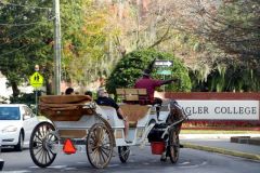St. Augustine carriage tour