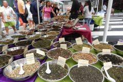 Teas and Spices