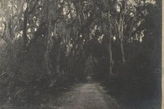 Main road