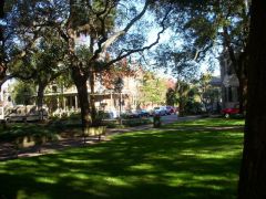 View across a square