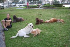 All friends!