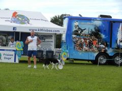 Real Frisbee Dog!