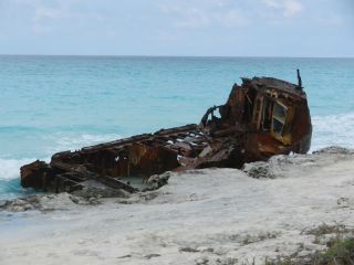 Shipwreck 2015