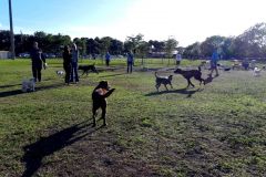 Vero Dog park