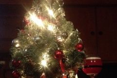 Merry Christmas from Maerin!
