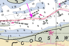 The Magenta line