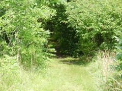 Trail head
