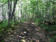 Beausoleil Island trail
