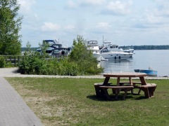 Cedar Springs docks