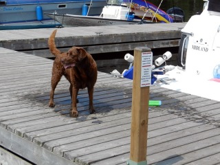 Swimming again!