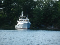 Stern shore tie- Echo Bay