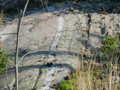 Interesting vein of quartz in granite