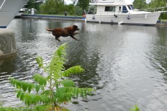 In for a swim!